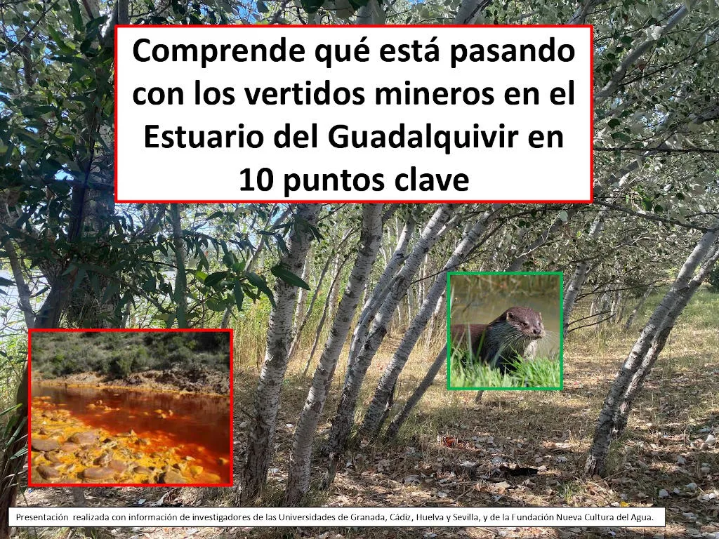 Punto clave 1