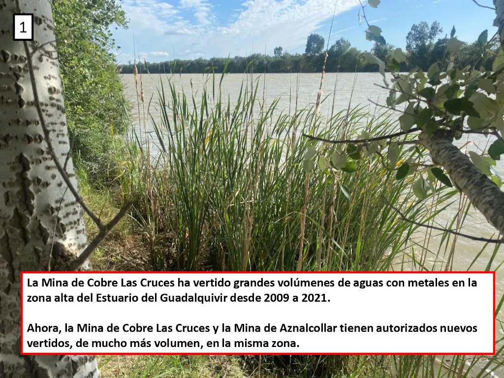Punto clave 2