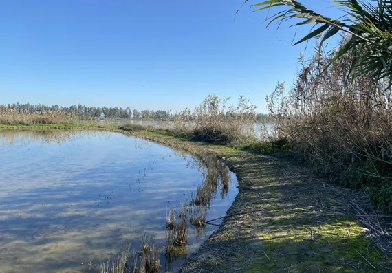 La autorización de vertido de la Mina de Aznalcóllar al Guadalquivir ignora aspectos científicos claves