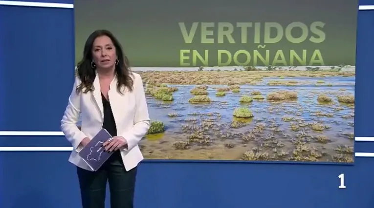 Noticias en la 1